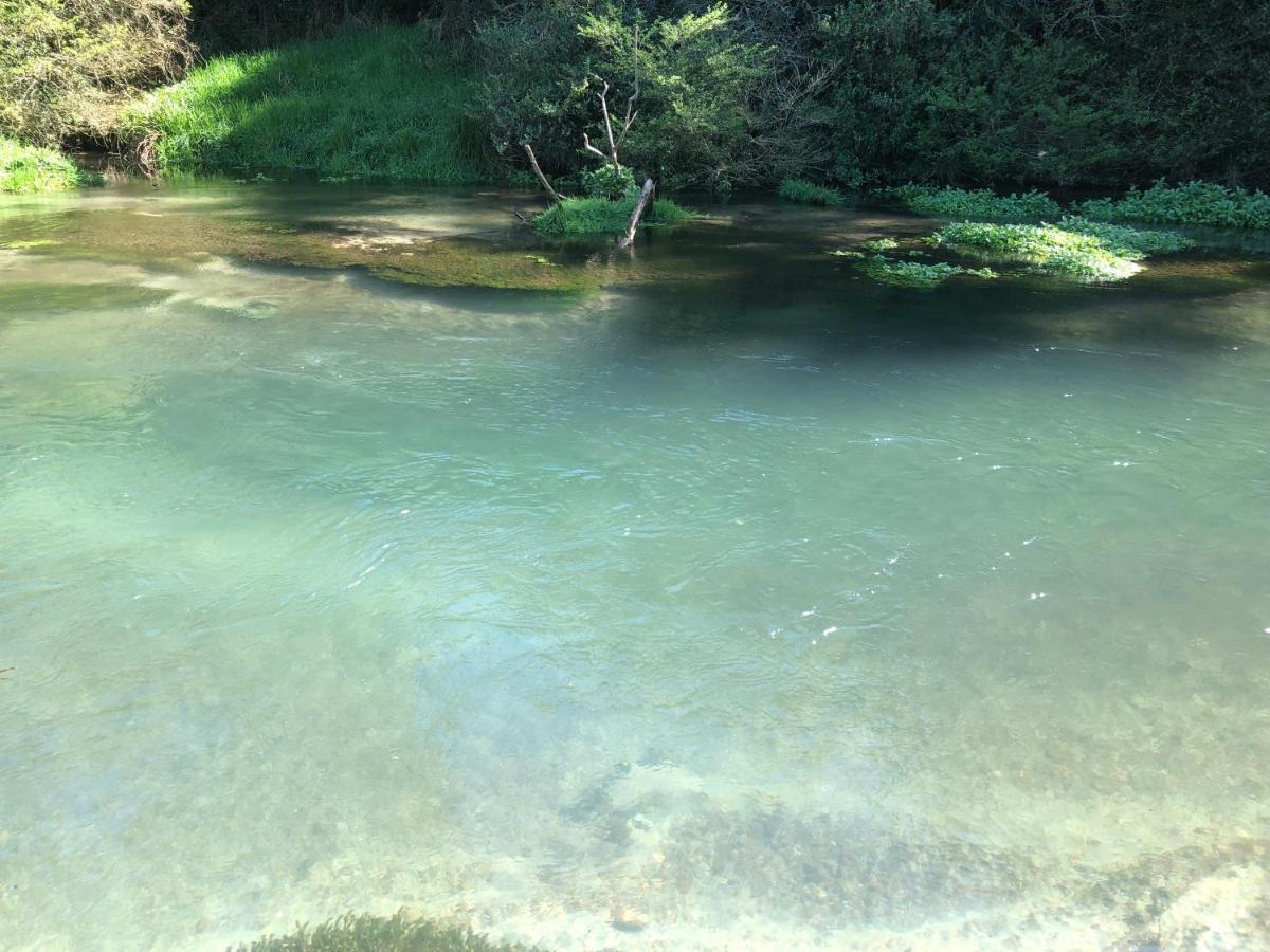 Вилла A1 Troutfishing At Tirau Экстерьер фото